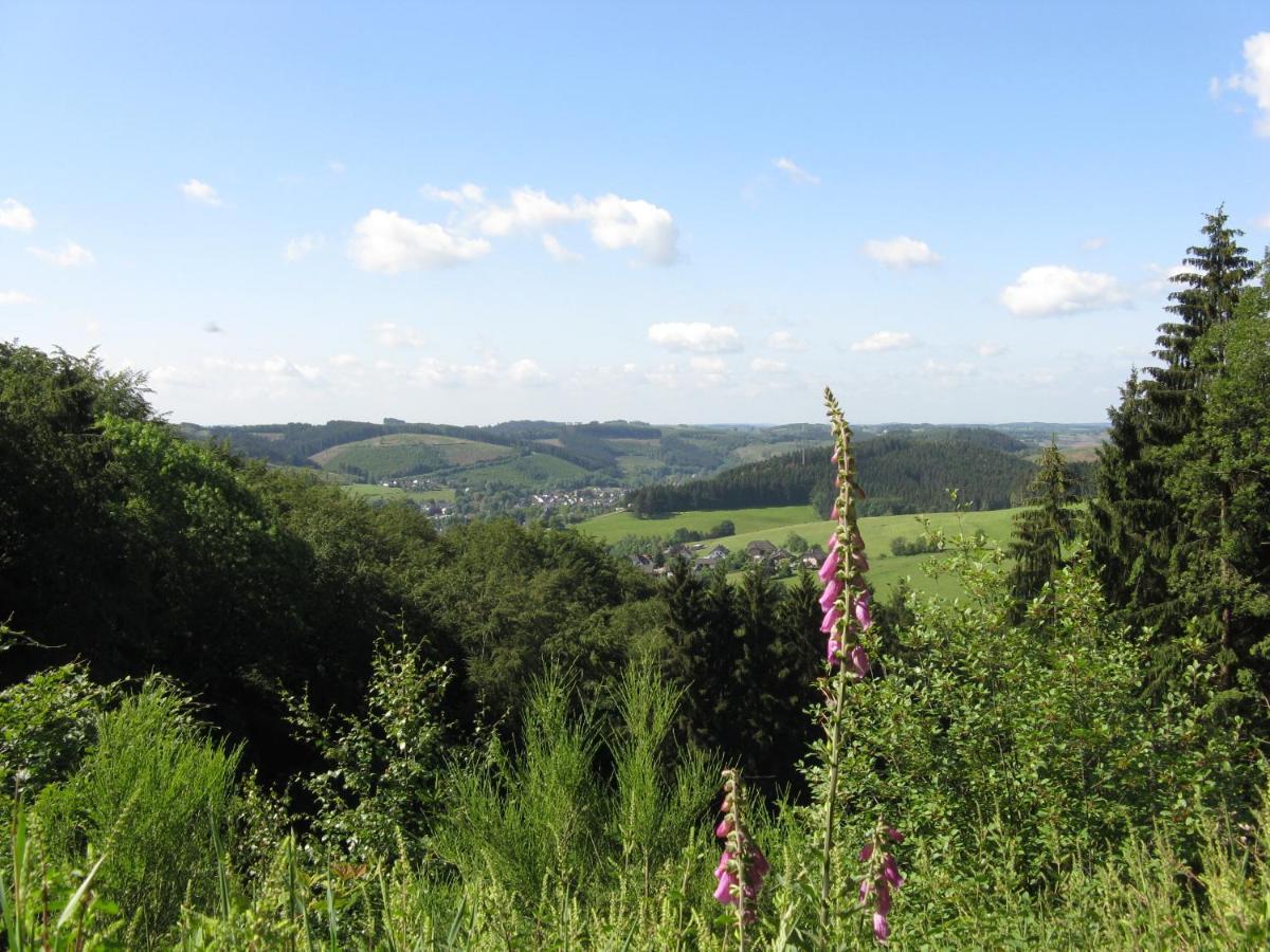 Urlaub Im Naturgarten Apartamento Bergneustadt Exterior foto