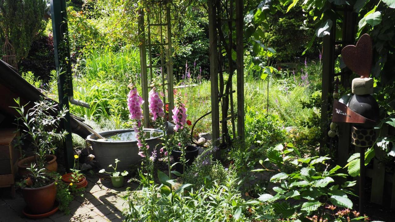 Urlaub Im Naturgarten Apartamento Bergneustadt Exterior foto